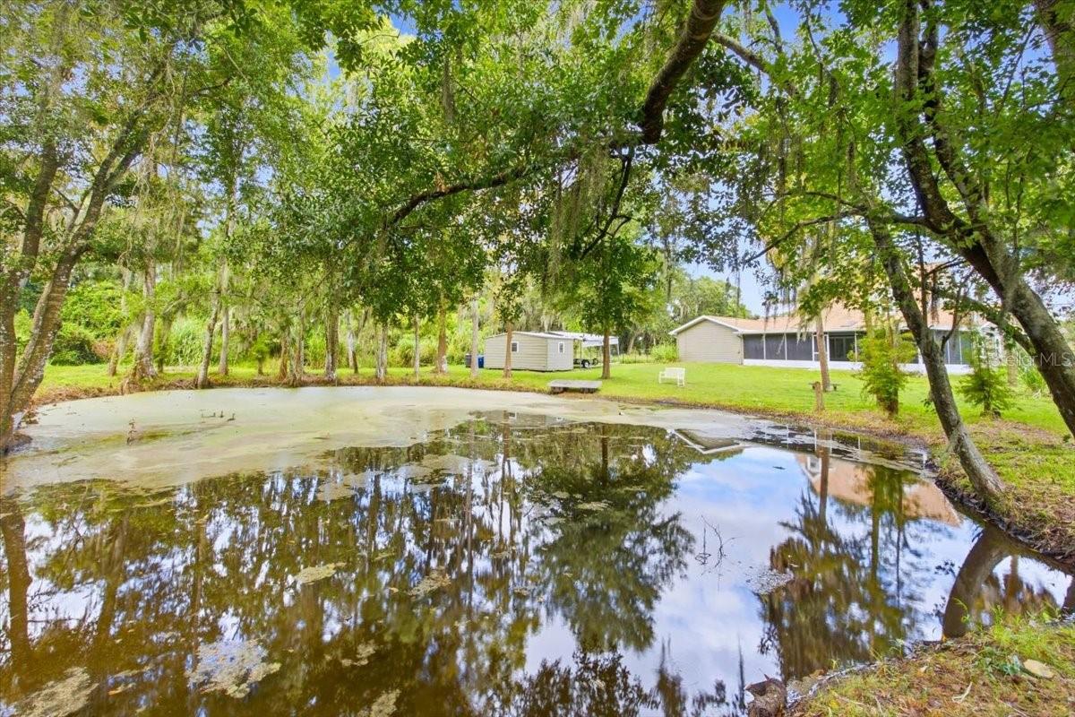 3717 Futch Loop Property Photo 31