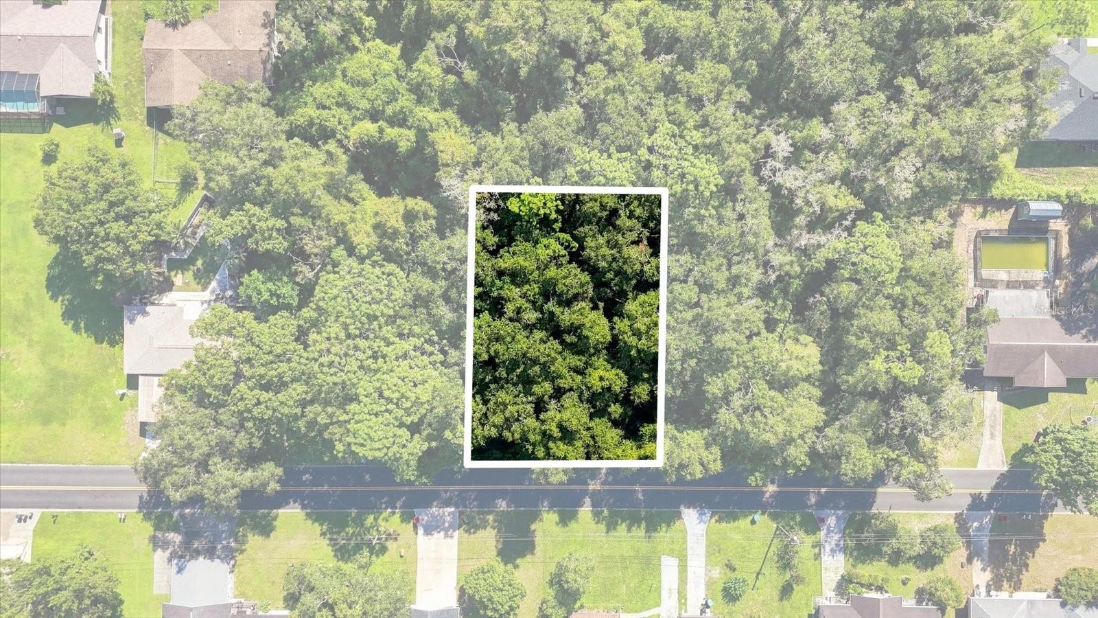 1130 Bluebonnet Ter Property Photo 2
