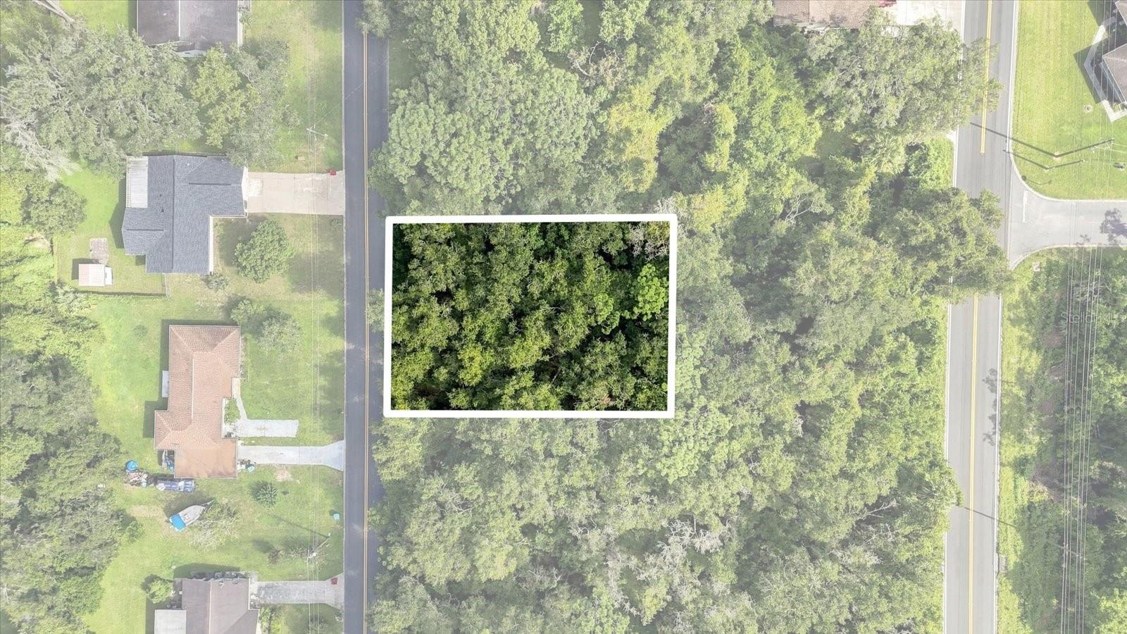 1130 Bluebonnet Ter Property Photo 3