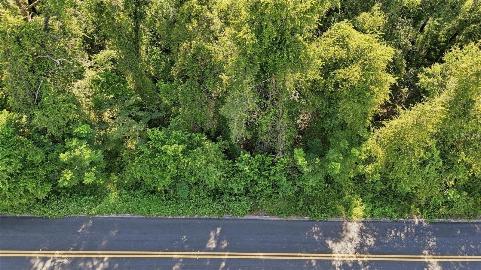 1130 Bluebonnet Ter Property Photo 4