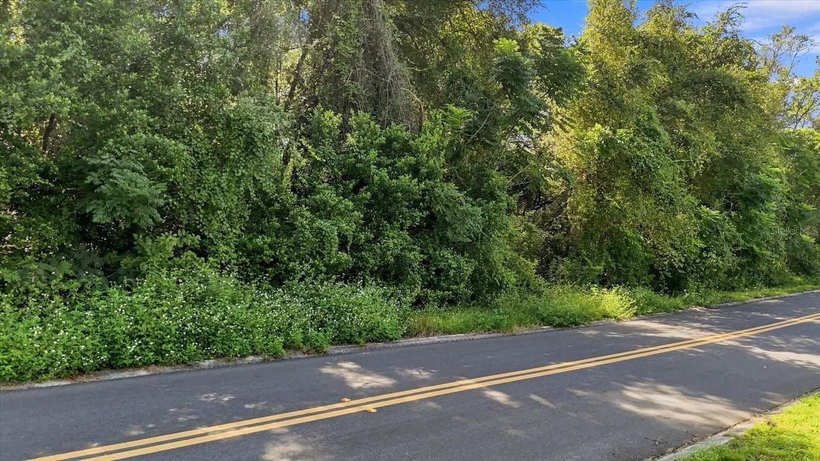 1130 Bluebonnet Ter Property Photo 6