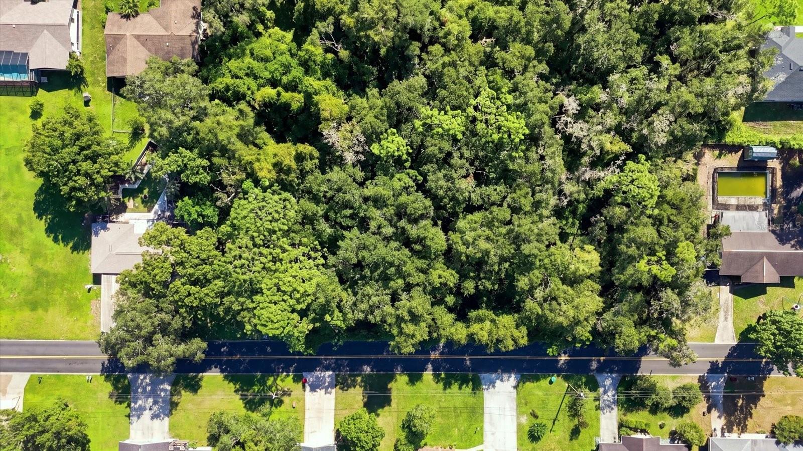 1130 Bluebonnet Ter Property Photo 8