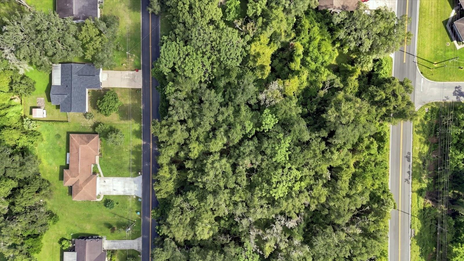 1130 Bluebonnet Ter Property Photo 9