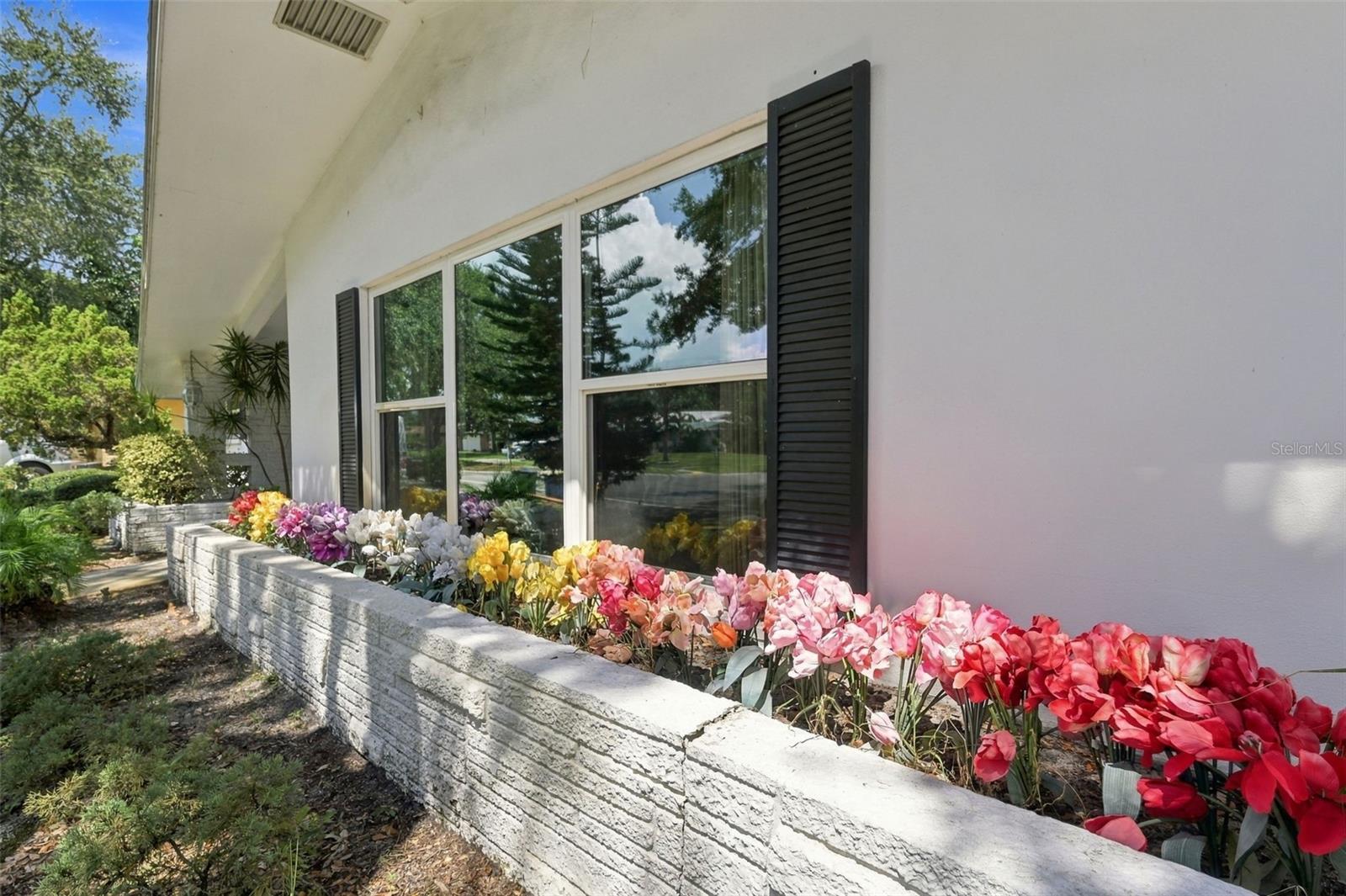 2336 Harn Blvd Property Photo 5