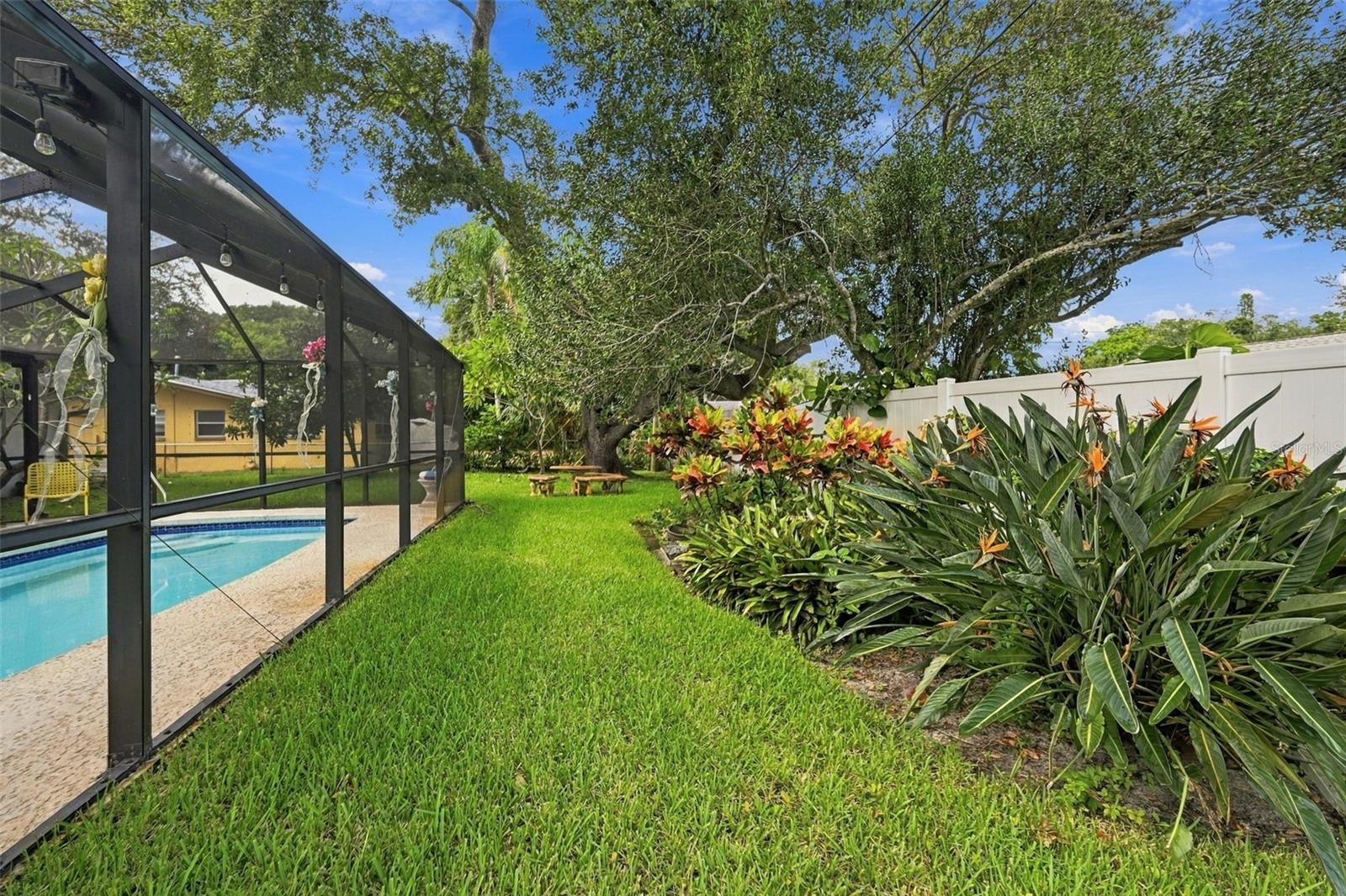 2336 Harn Blvd Property Photo 37