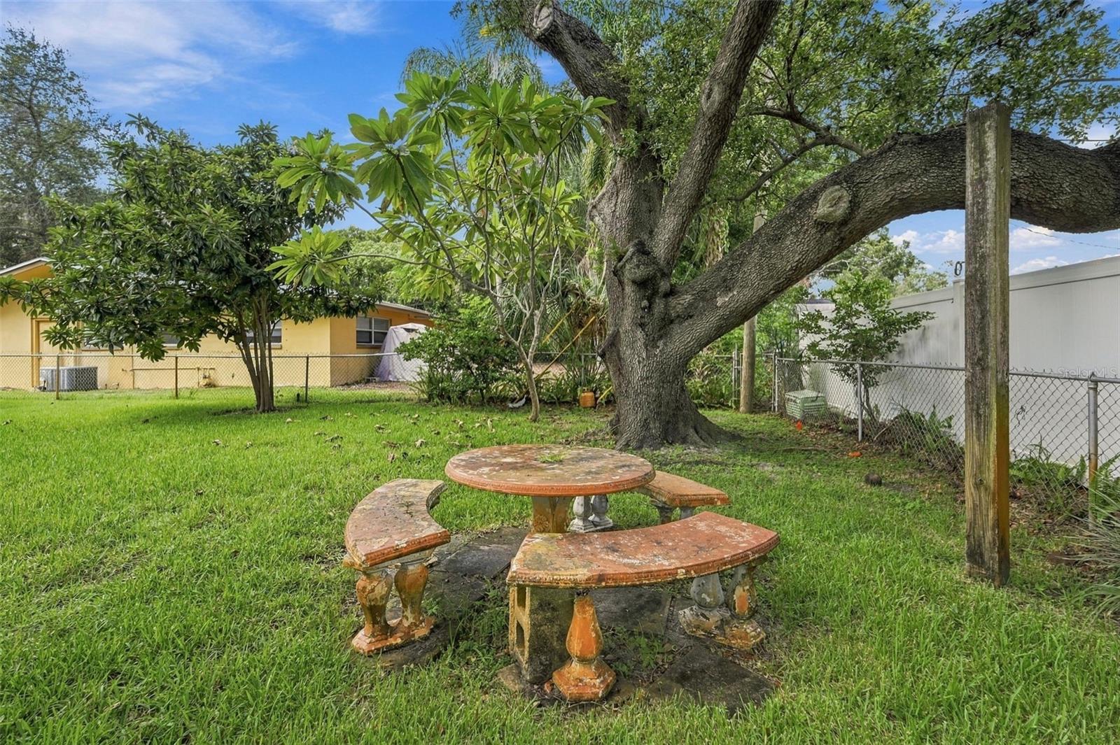 2336 Harn Blvd Property Photo 38