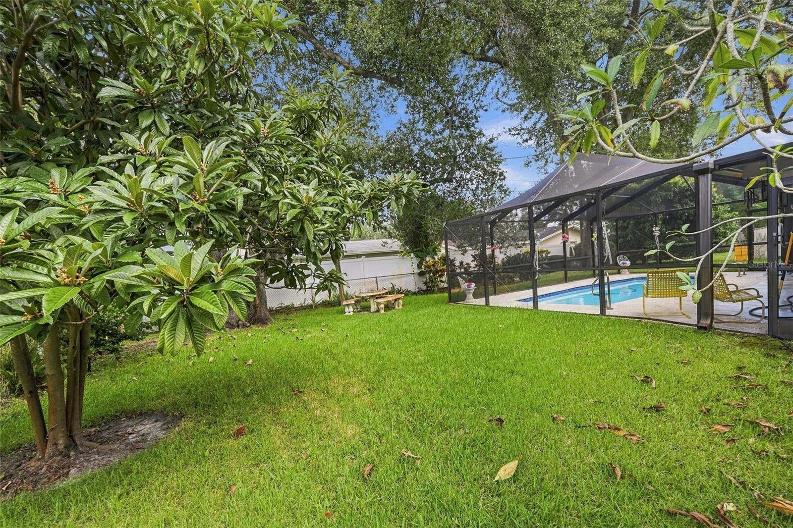 2336 Harn Blvd Property Photo 40