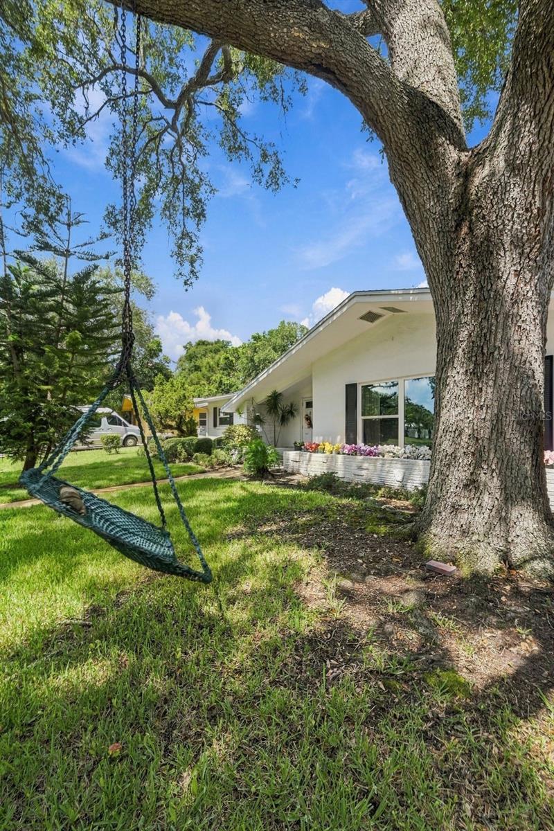 2336 Harn Blvd Property Photo 43