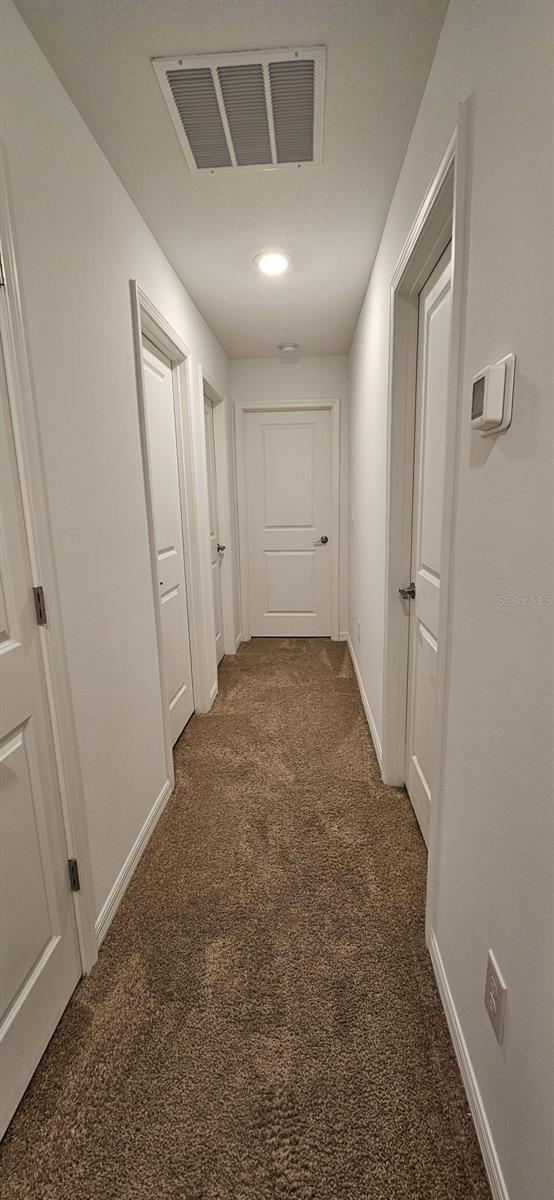9910 Spanish Lime Ct Property Photo 18