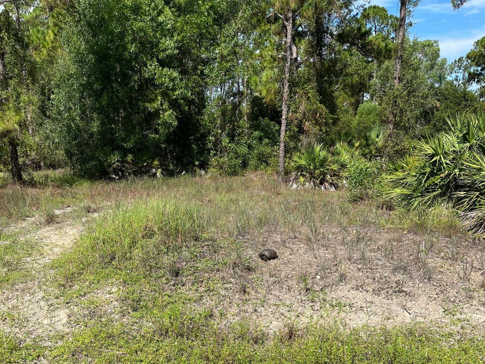 12 MONROE AVE Property Photo 1