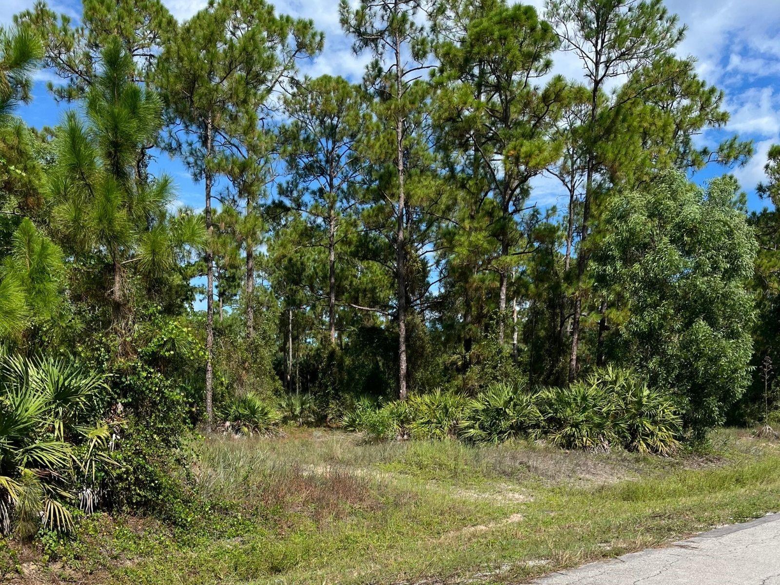 12 Monroe Ave Property Photo 3