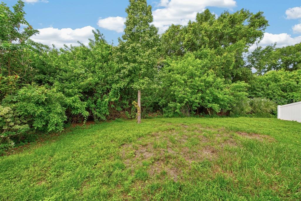 11601 Tangle Stone Dr Property Photo 39
