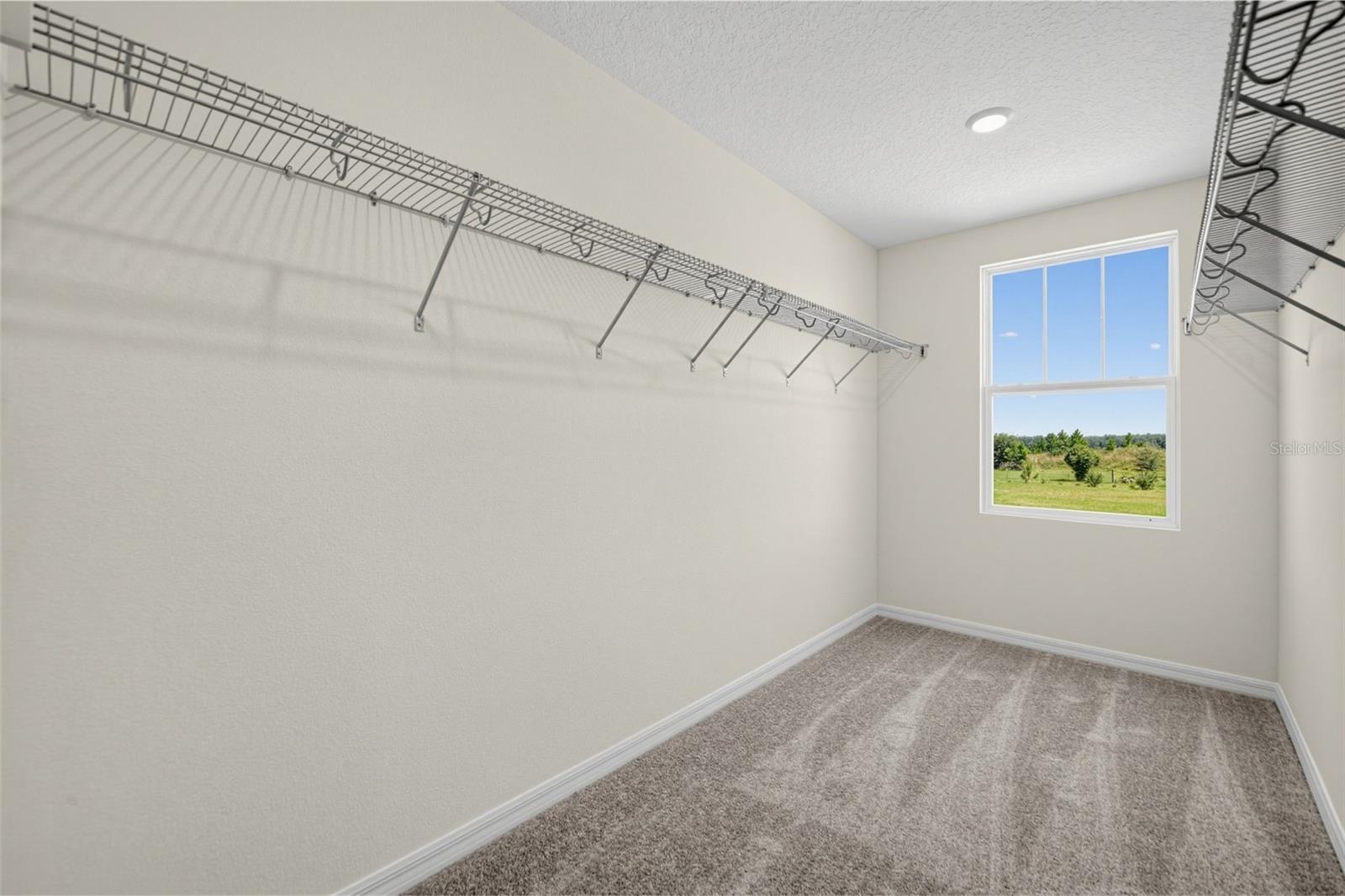 30161 Emerald Forest Dr Property Photo 24
