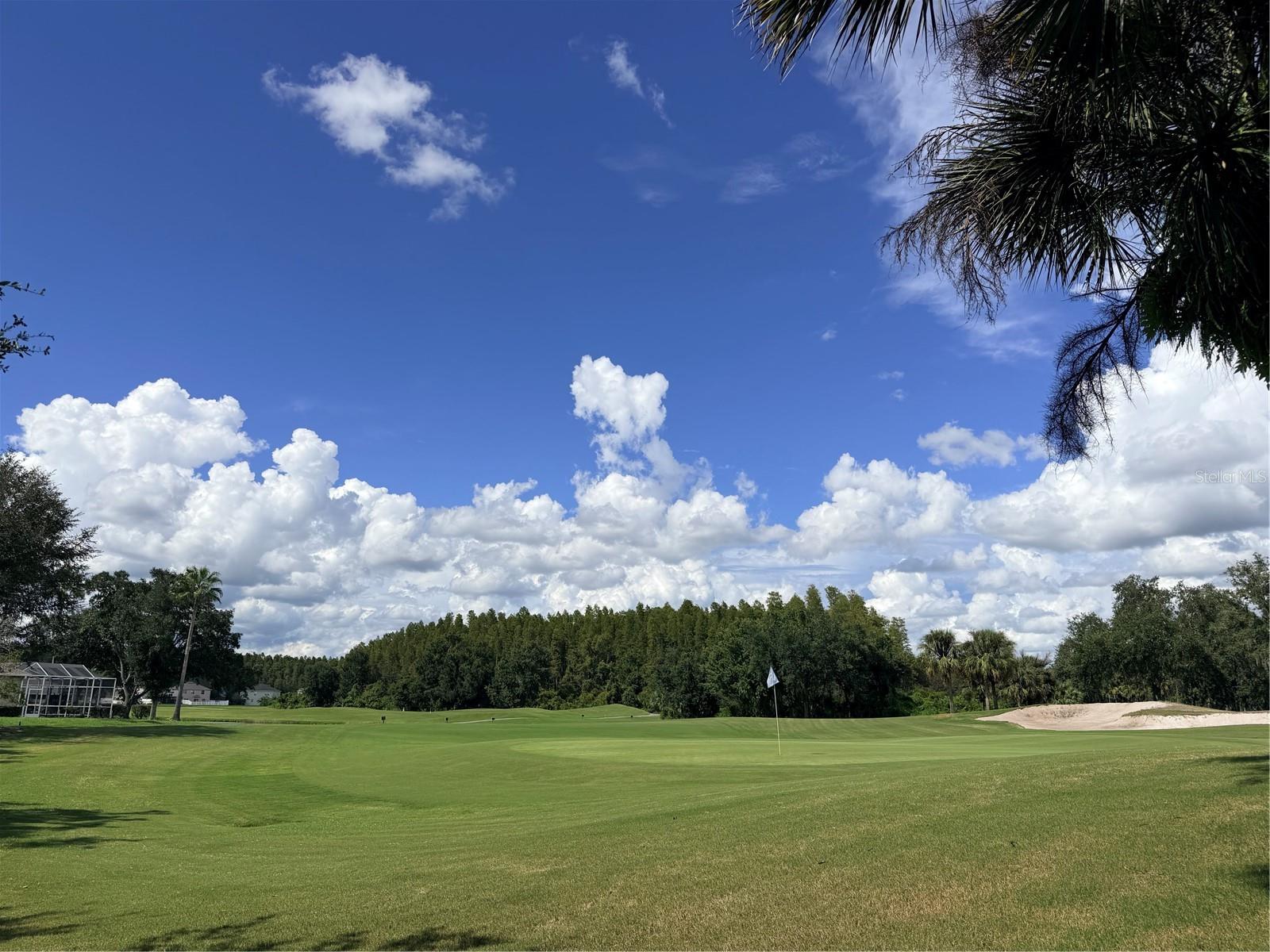 18120 Paradise Point Dr Property Photo 29
