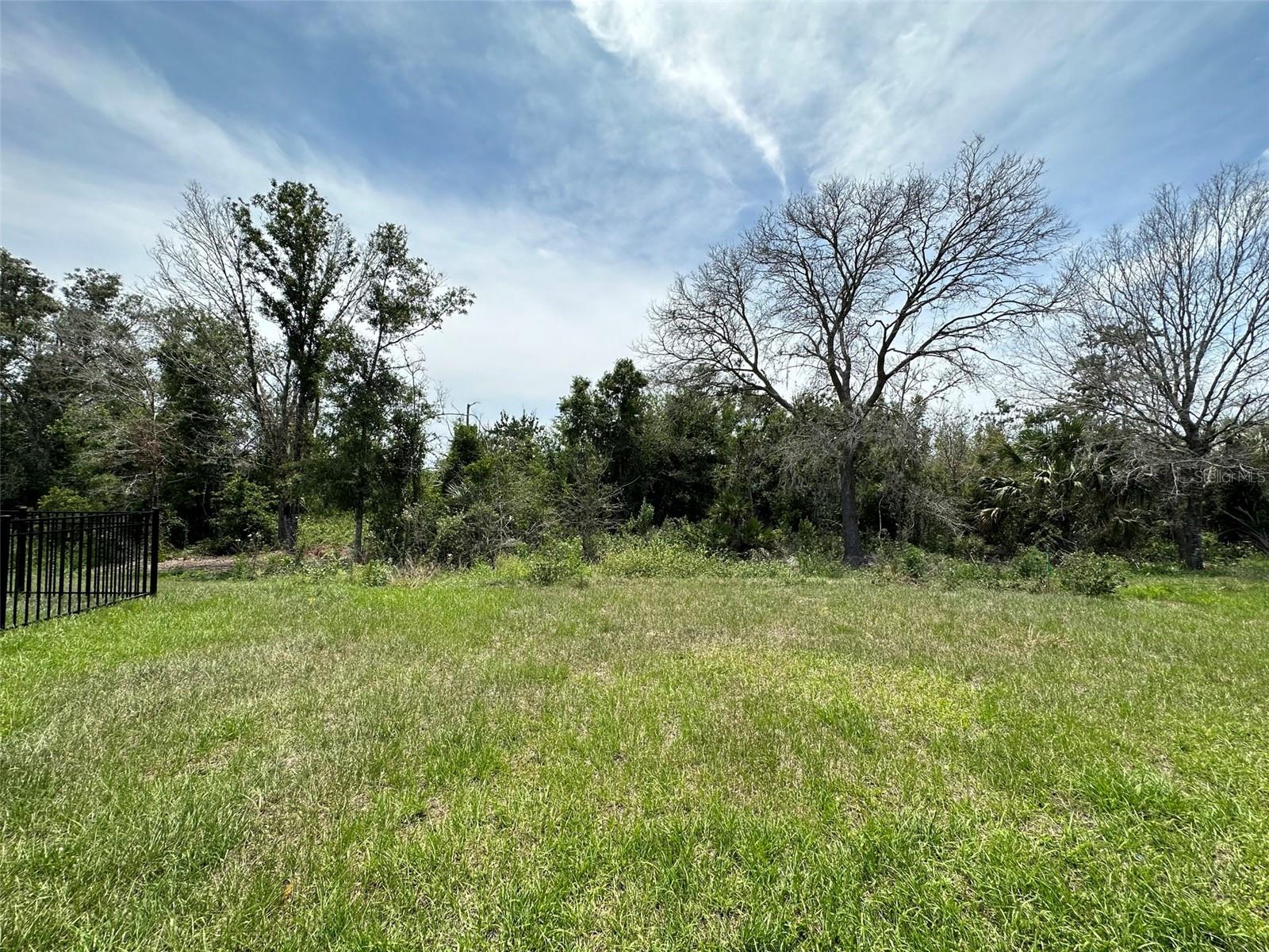 12415 Nantahala Run Property Photo 25