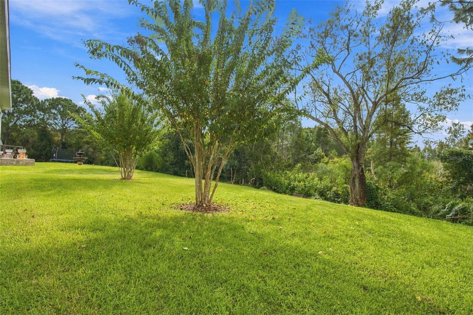 30444 Pecan Valley Loop Property Photo 34