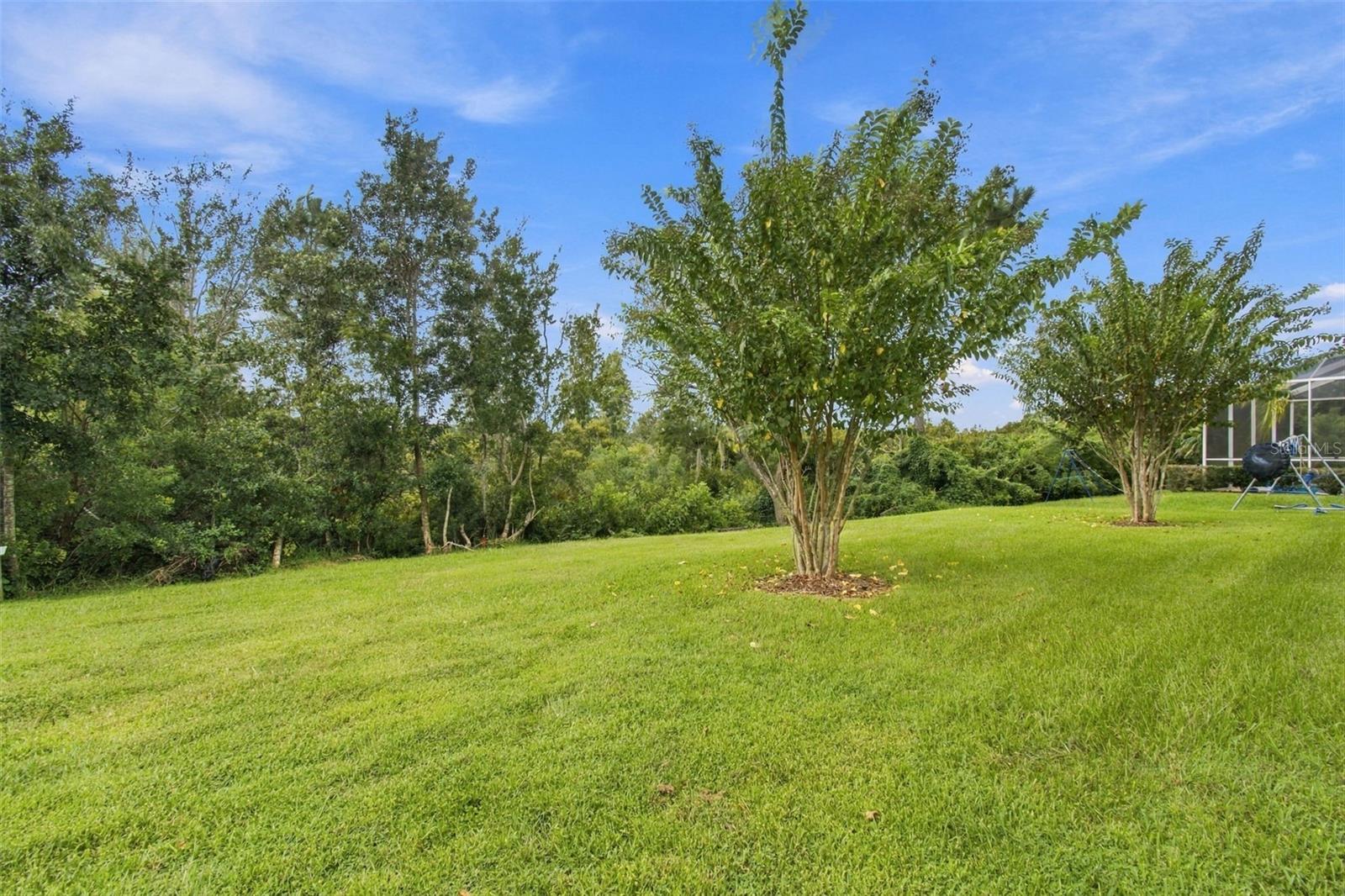 30444 Pecan Valley Loop Property Photo 37