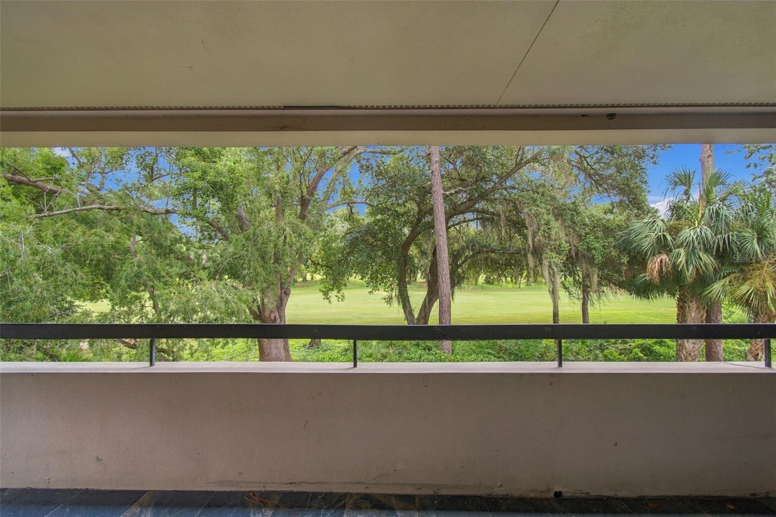36750 Us Highway 19 N #19201 Property Photo 2