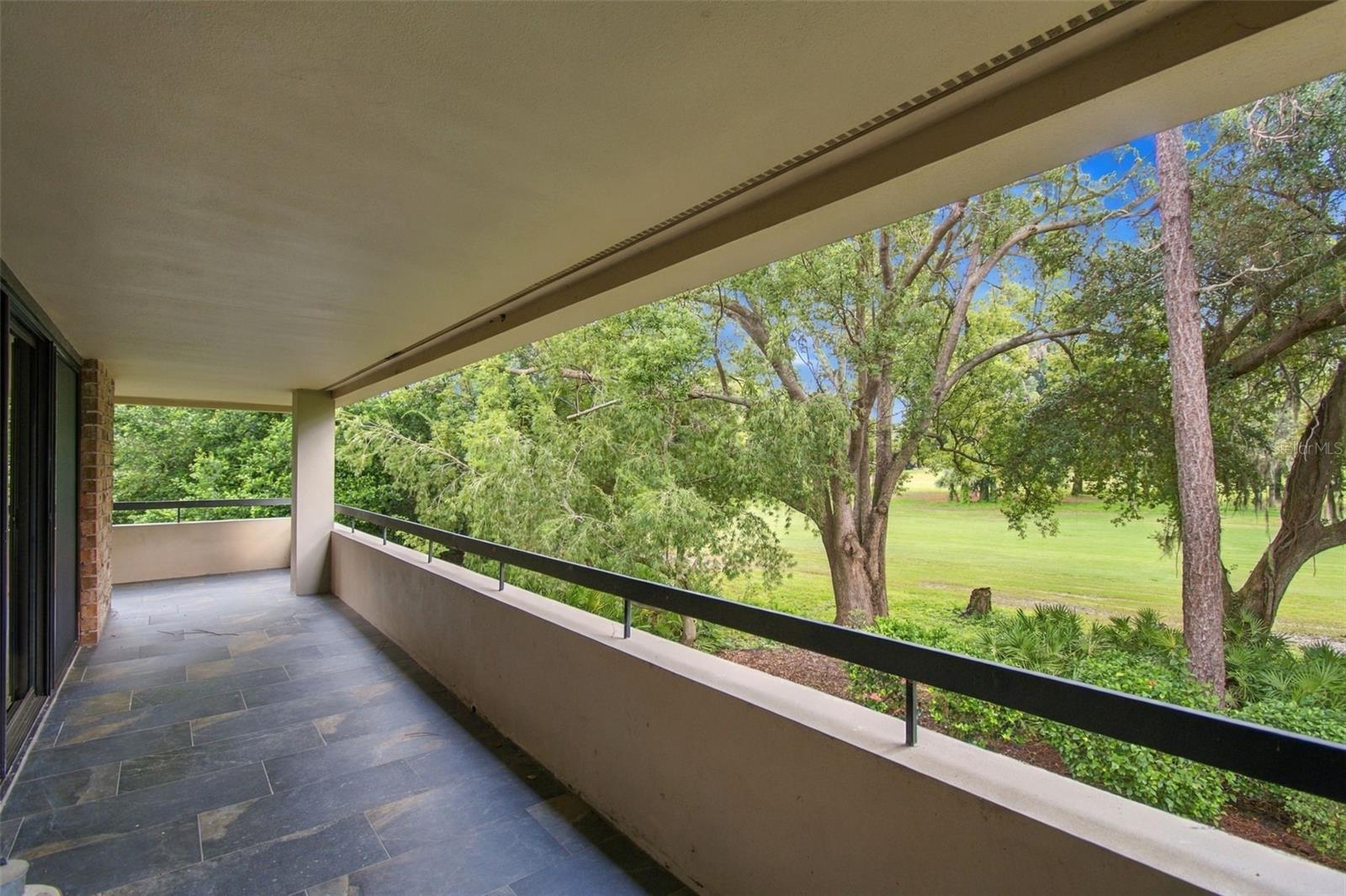 36750 Us Highway 19 N #19201 Property Photo 3