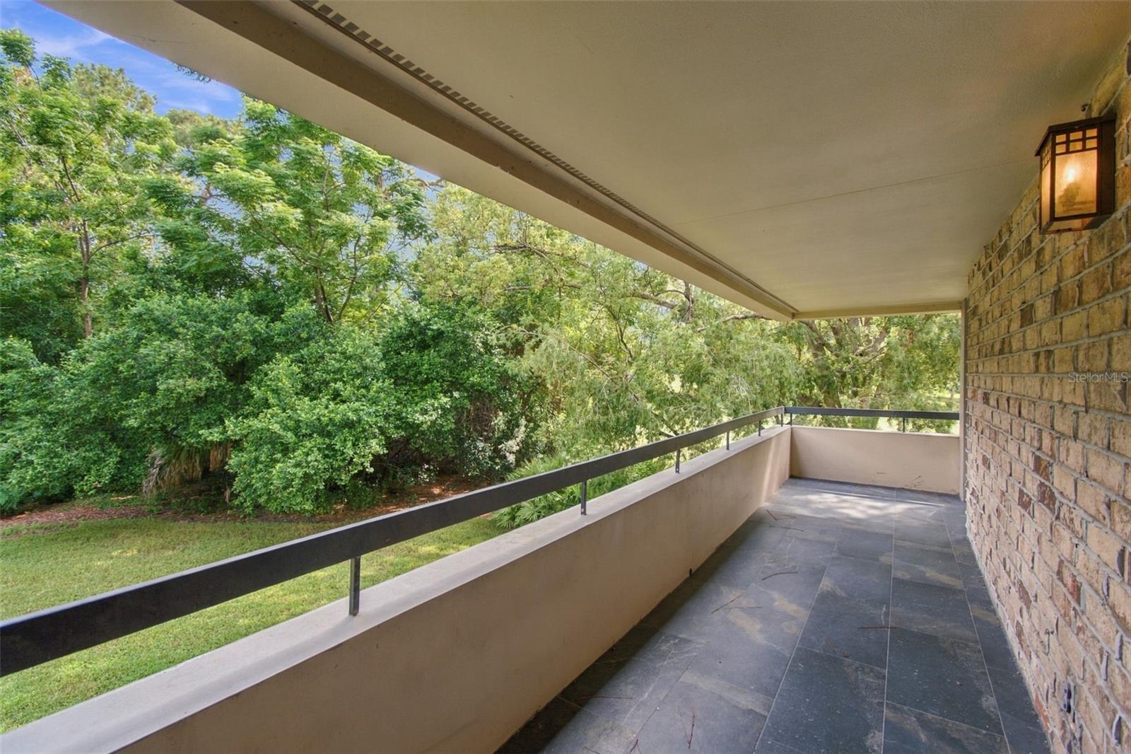 36750 Us Highway 19 N #19201 Property Photo 49