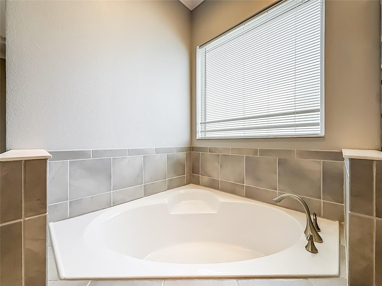 1107 Isobel Reserve Ln Property Photo 46