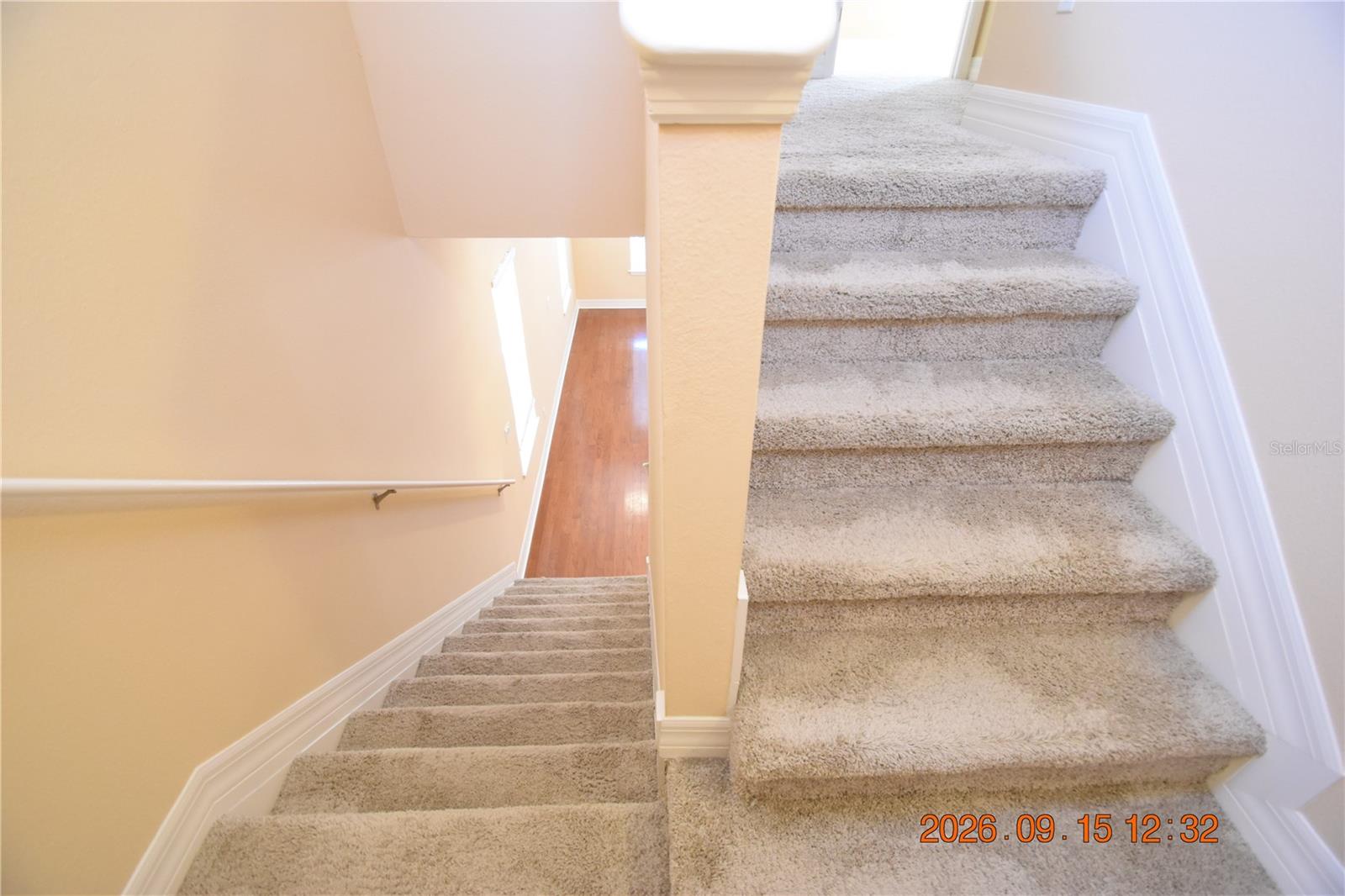 4525 Bay Spring Ct #4525 Property Photo 29