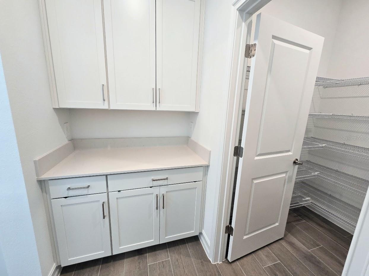 18489 Serene Lake Loop Property Photo 19