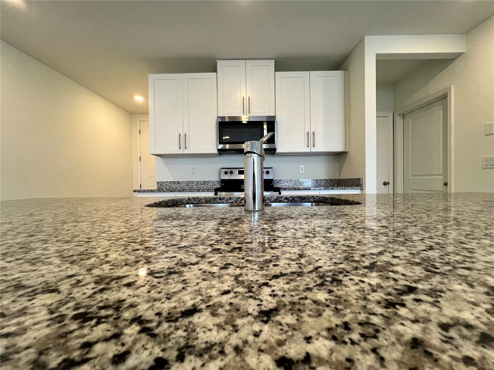 32455 Limitless Place Property Photo 17