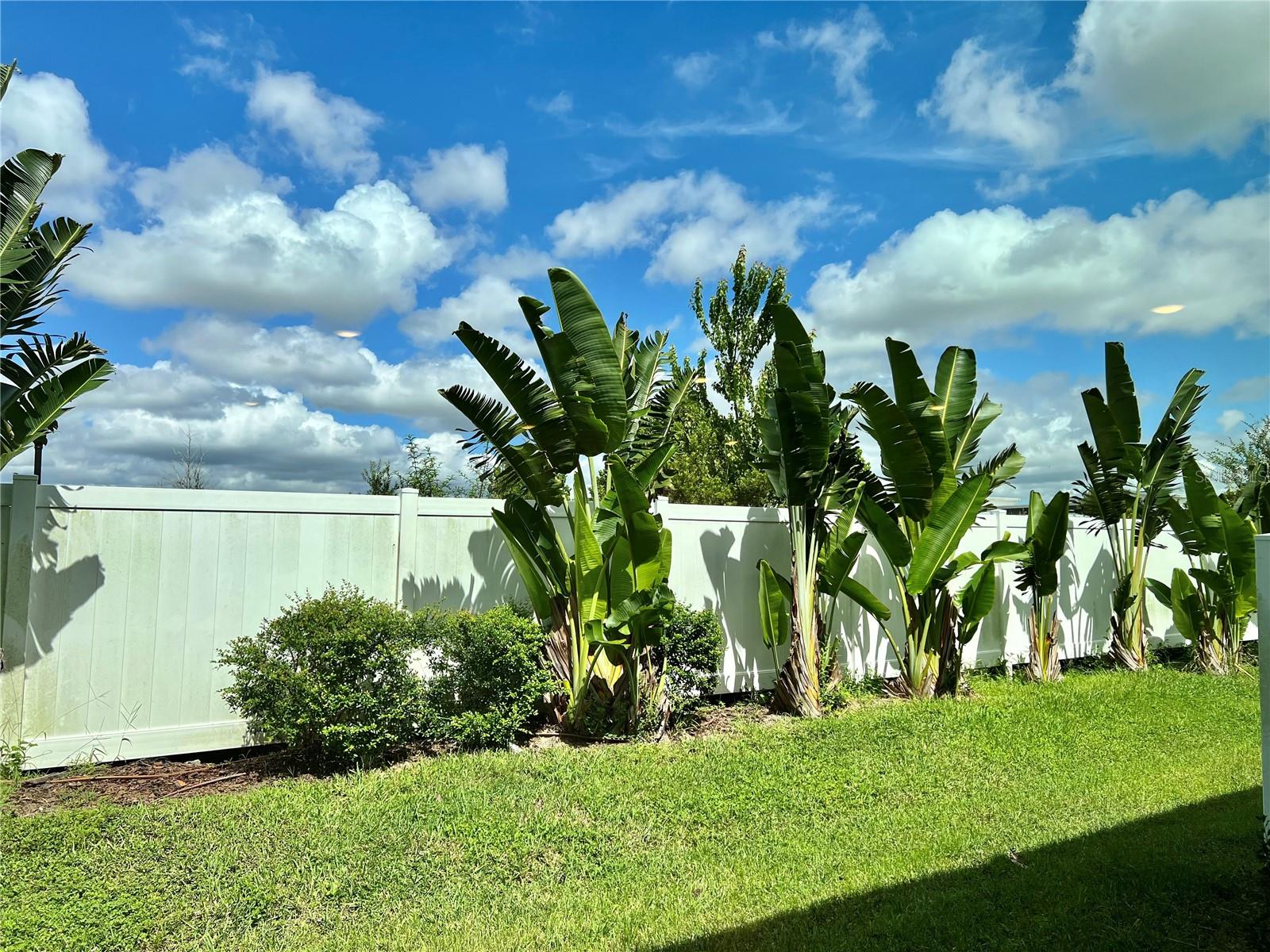 32455 Limitless Place Property Photo 68