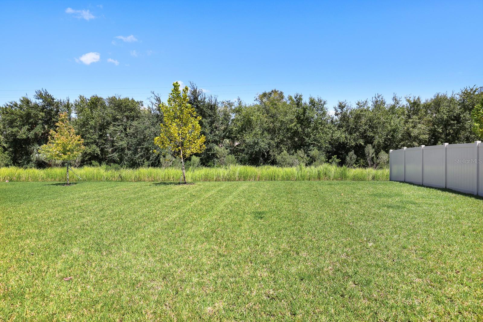 13034 Wellspring Dr Property Photo 30
