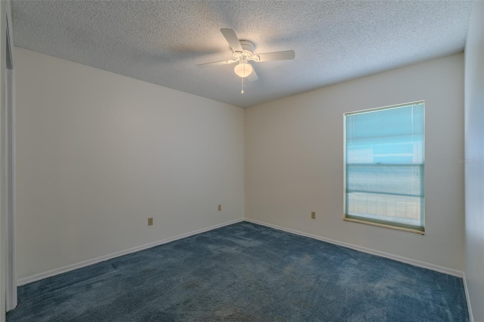 1409 Holleman Property Photo 37