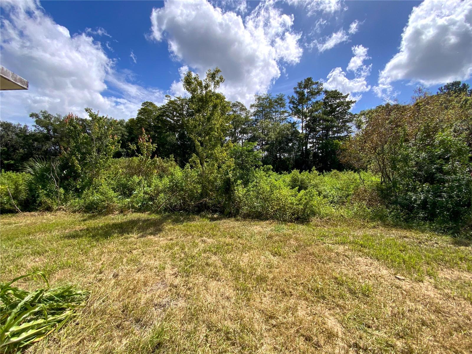 12622 Timberwood Ct Property Photo 30
