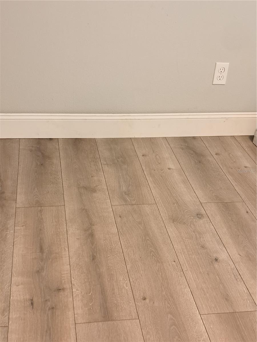 3650 Peconic Way Property Photo 16