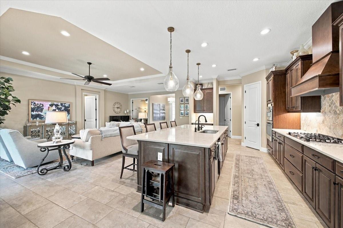 14245 Skipping Stone Loop Property Photo 12