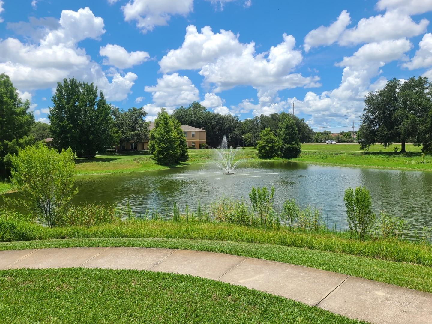 36101 Deer Creek Dr #201 Property Photo 39