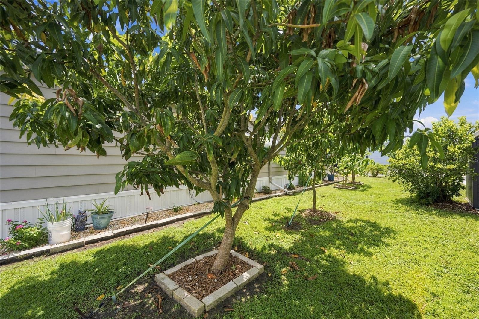 133 S Saint Thomas Cir Property Photo 72
