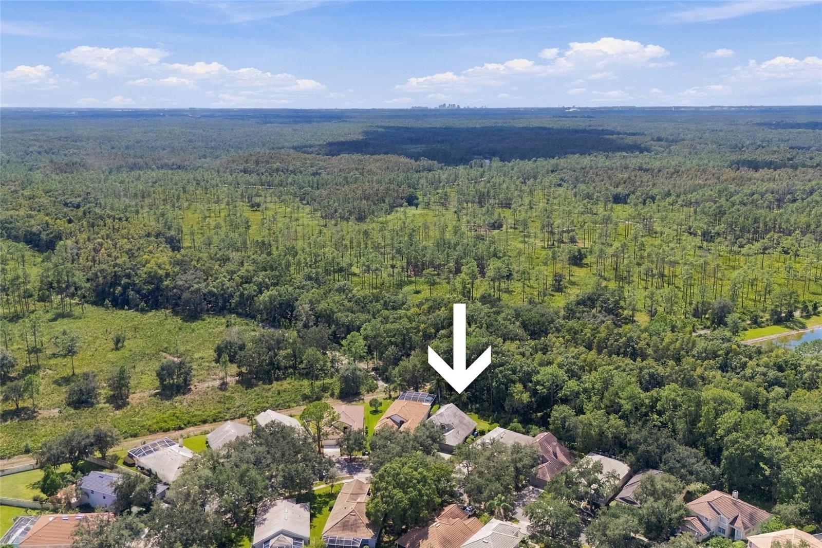 17704 Nathans Dr Property Photo 39