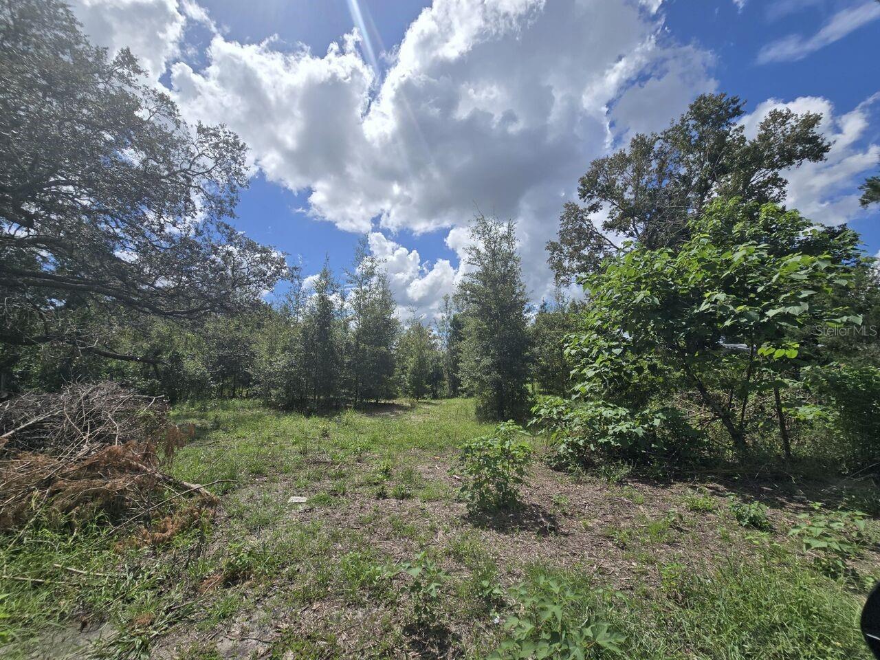 St. Paul Dr Property Photo 1