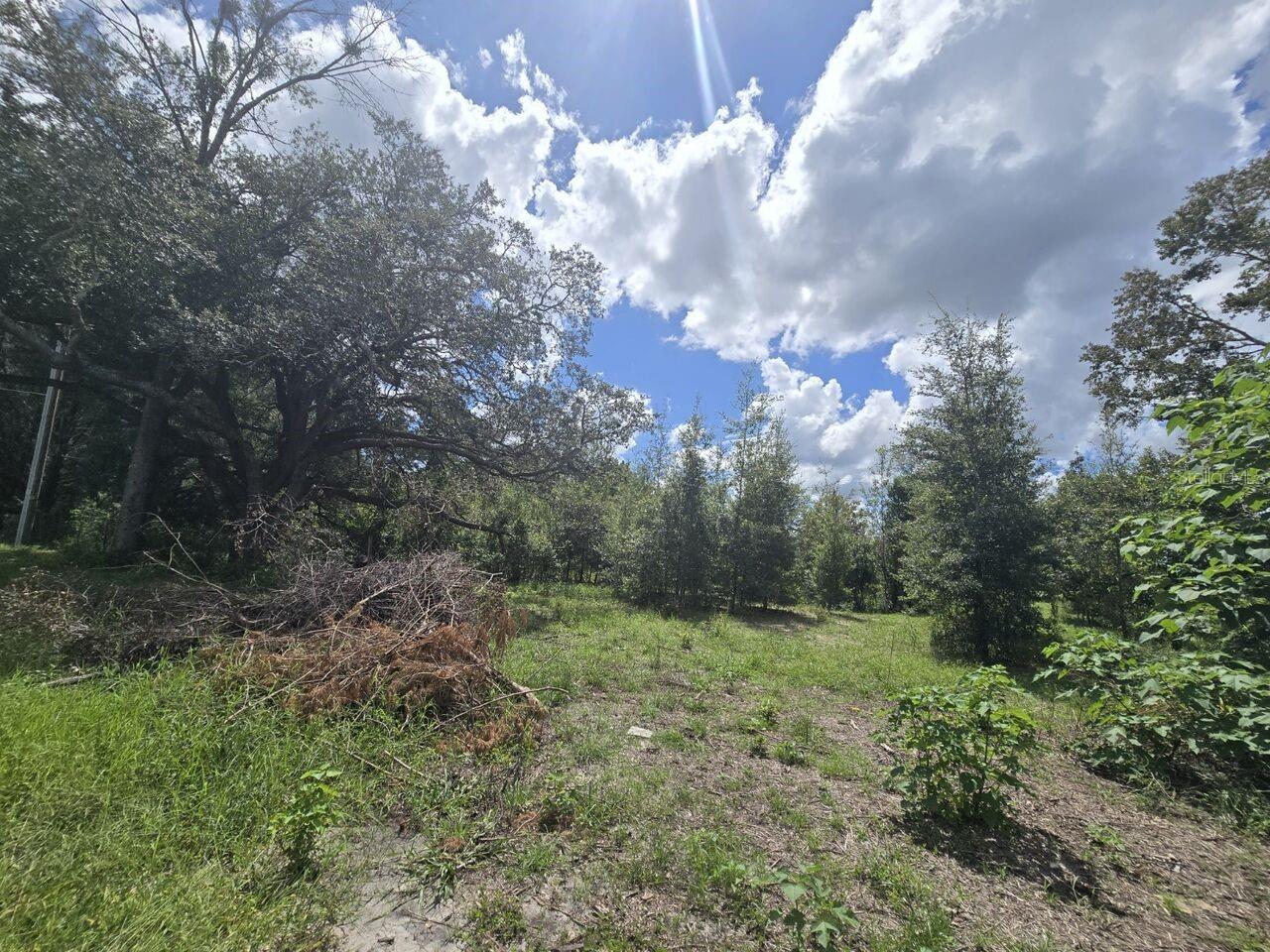 St. Paul Dr Property Photo 2