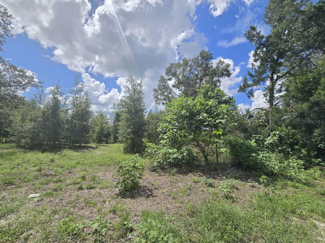 St. Paul Dr Property Photo 3