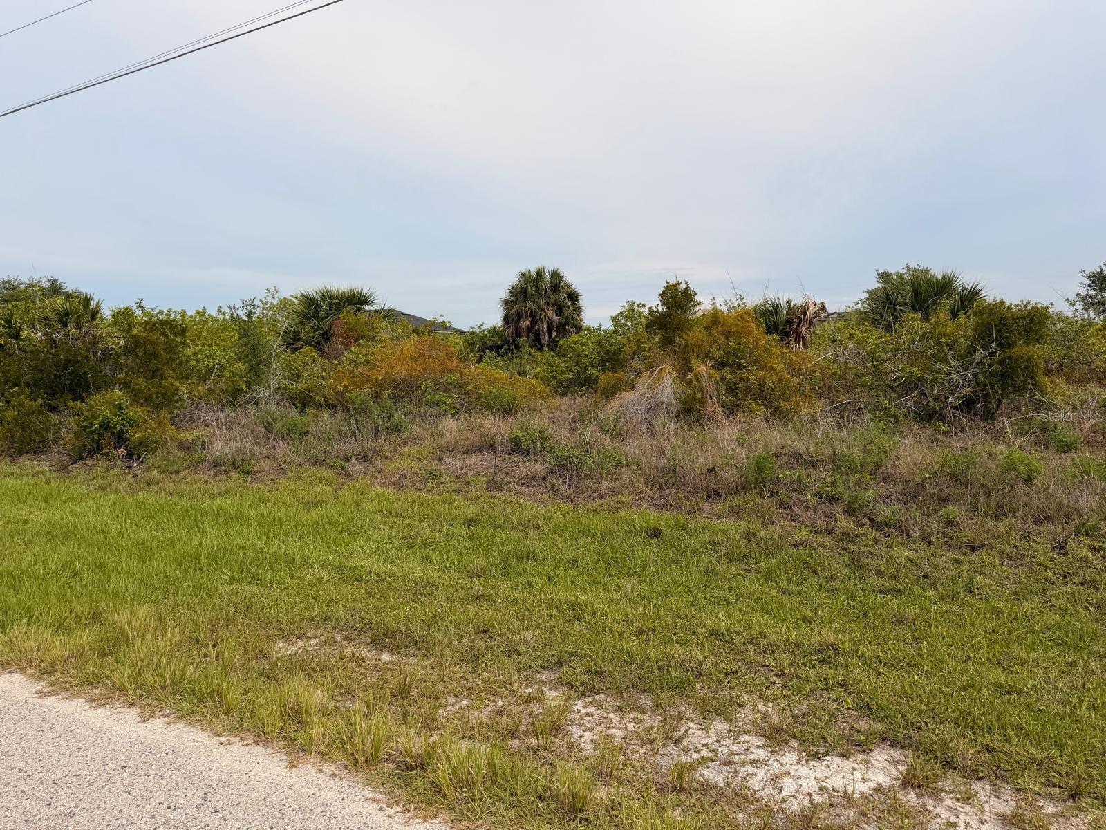 15229 Aquarius Cirs Property Photo 1