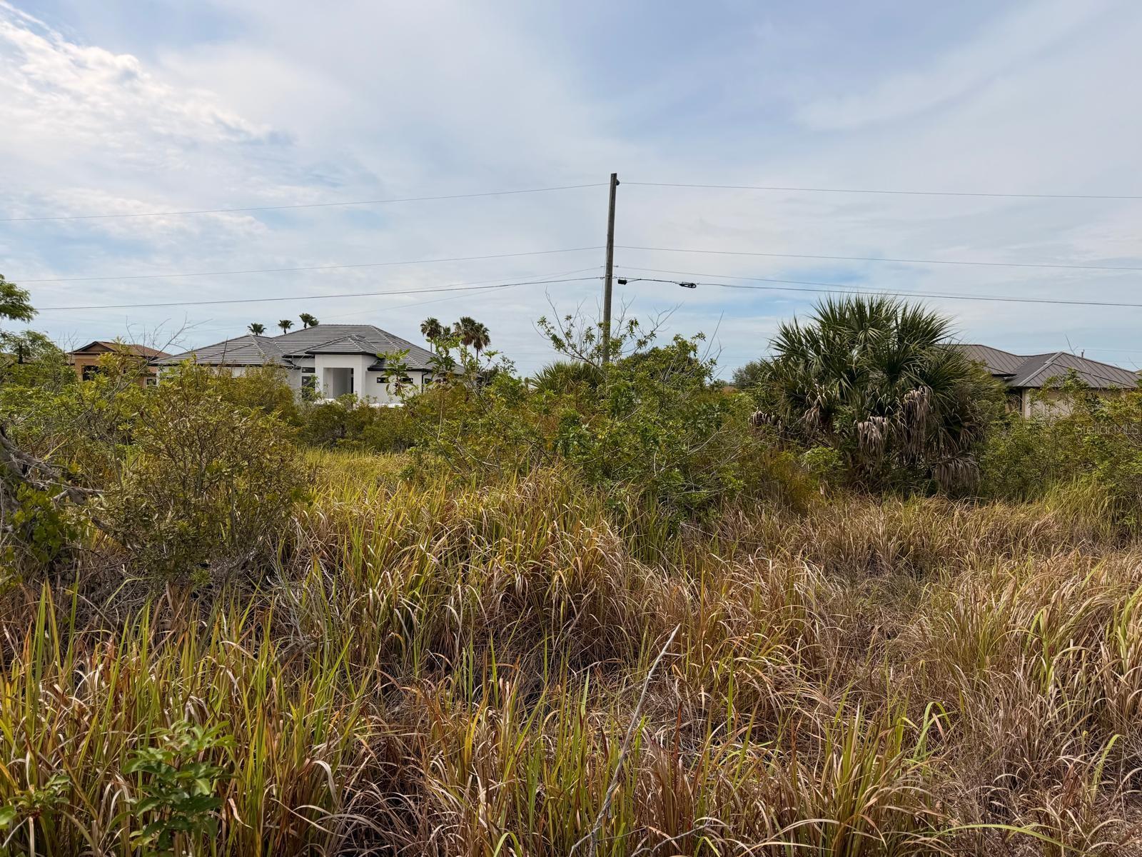 15229 Aquarius Cirs Property Photo 2