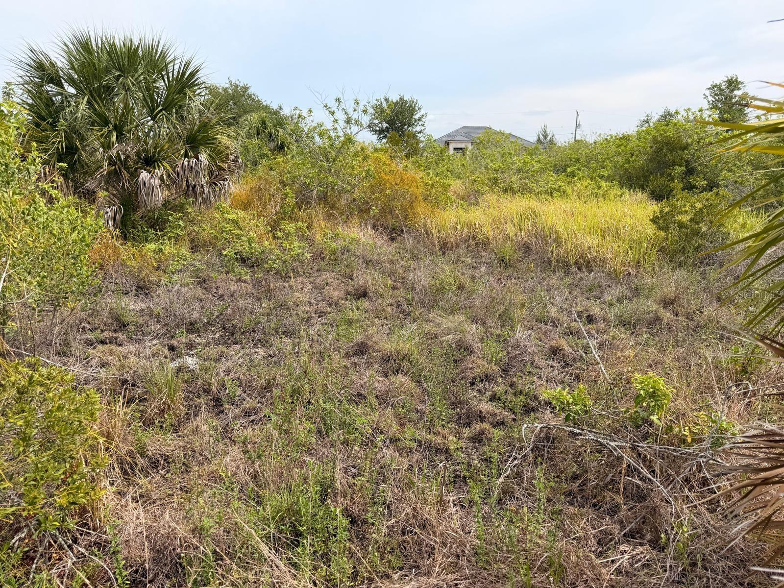 15229 Aquarius Cirs Property Photo 4