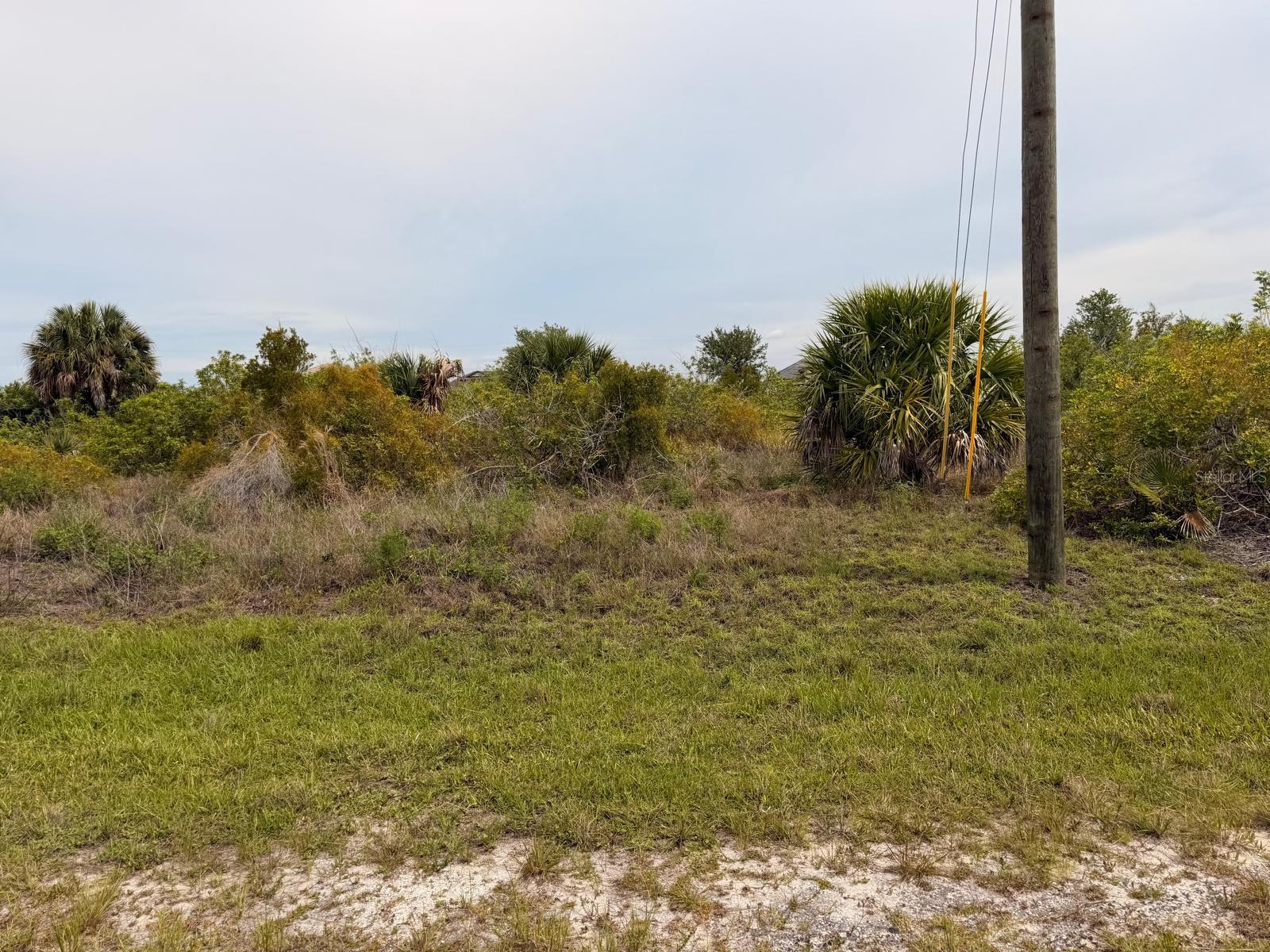 15229 Aquarius Cirs Property Photo 6