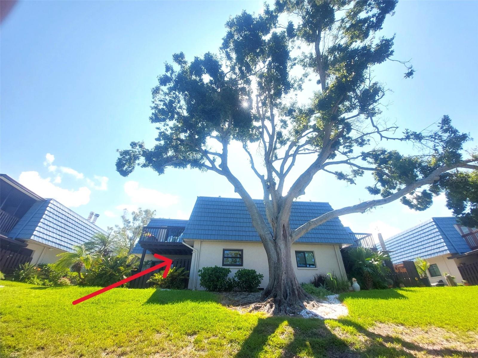 9446 TRADEWINDS AVE Property Photo 1