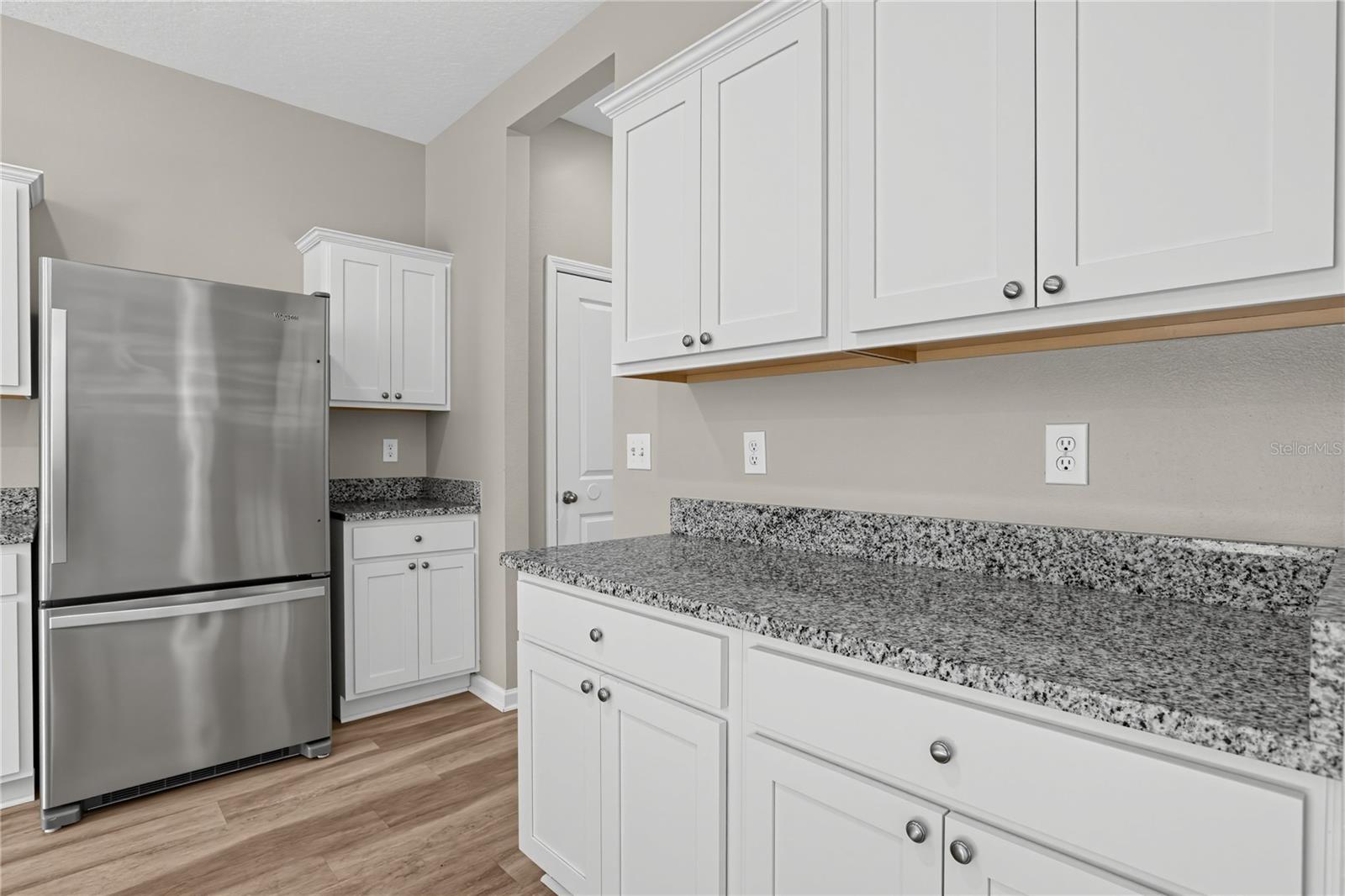 1033 Cades Cove Way Property Photo 6