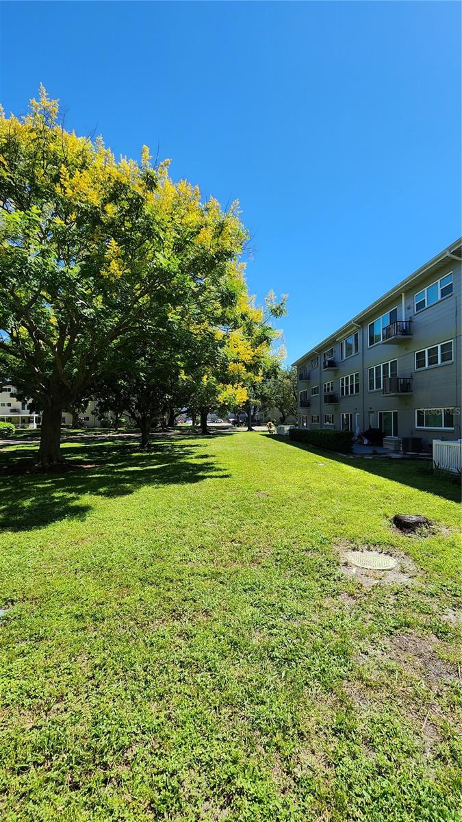 2229 Americus Blvd W #7 Property Photo 15
