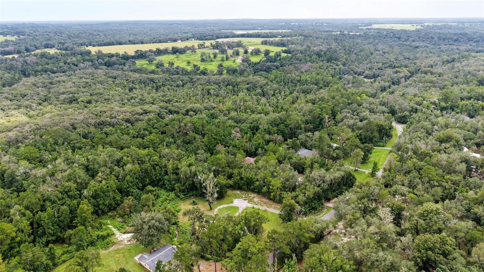 4250 Bessemer Road Property Photo 28