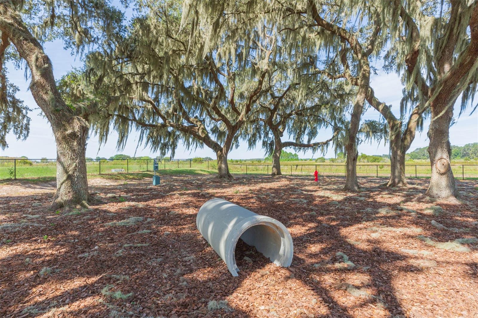 10966 Delta Huff Ct Property Photo 38