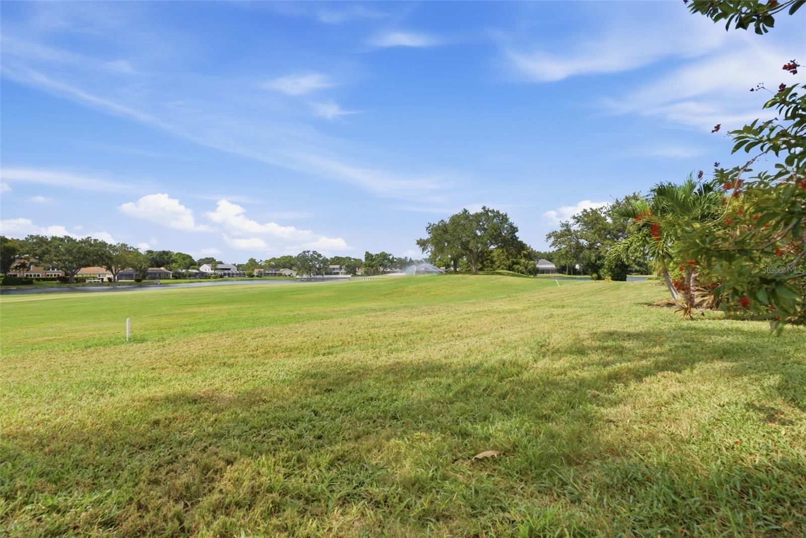 13956 Lake Point Dr Property Photo 13